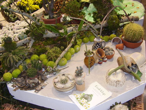 P5010016
