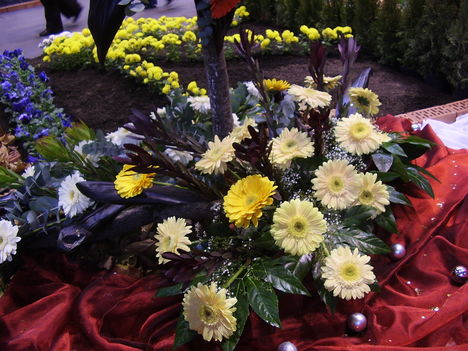 P5010019