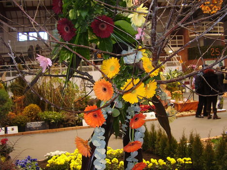 P5010020
