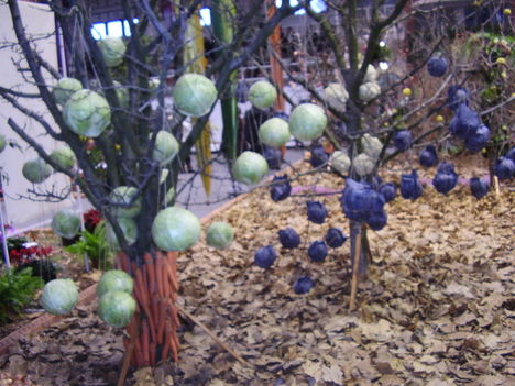 P5010023