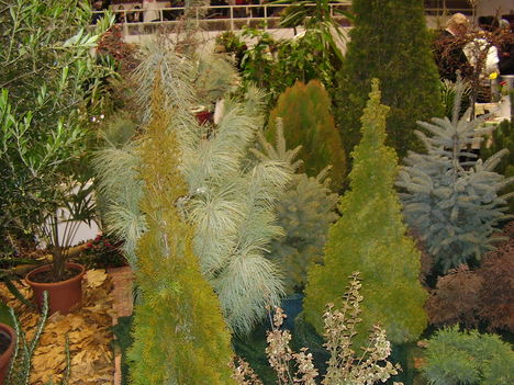 P5010027