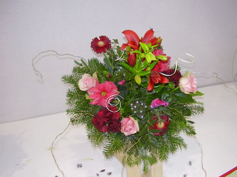 P5010028