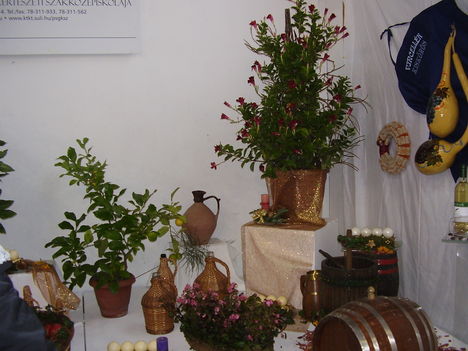P5010034