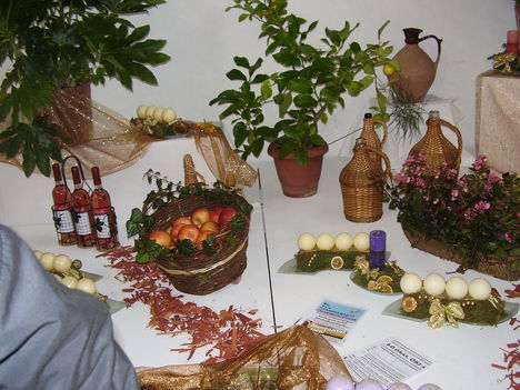P5010035