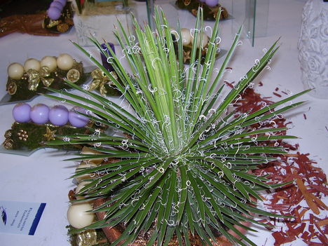 P5010037