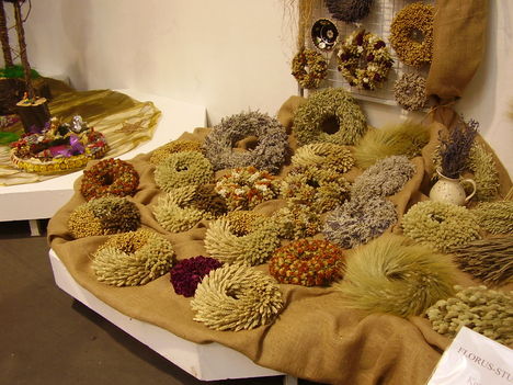 P5010040