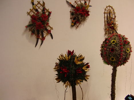 P5010041