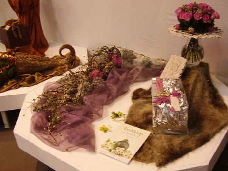 P5010042