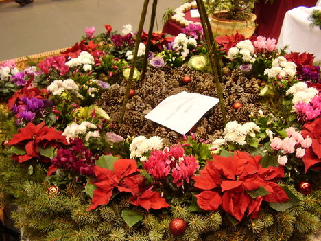 P5010045