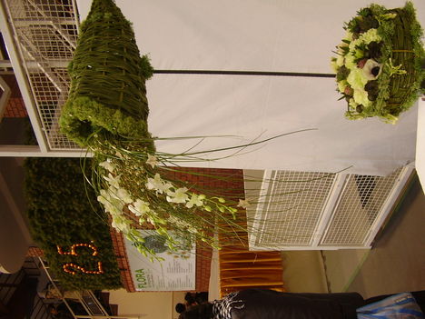 P5010049
