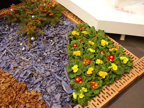 P5010054