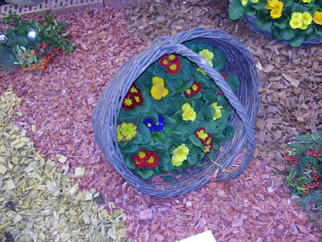 P5010055