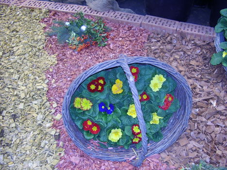 P5010056