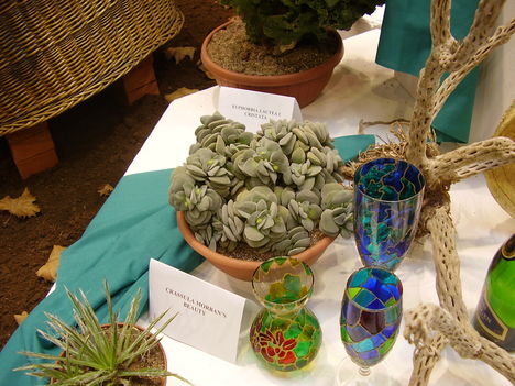 P5010060