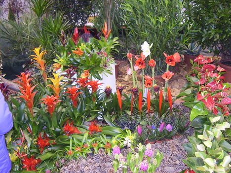 P5010061