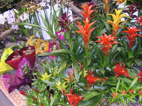 P5010064