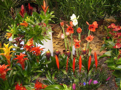 P5010065