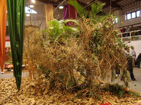 P5010070