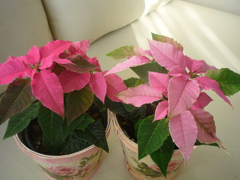 2011. DECEMBER 11