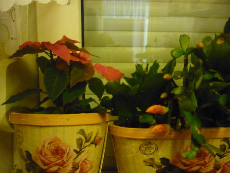 2011. DECEMBER 25