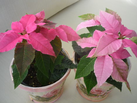 2011. DECEMBER 7