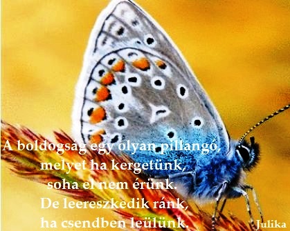 A boldogság egy olyan pillangó