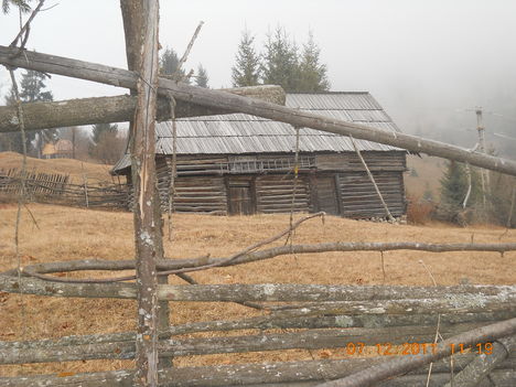 DSCN3524