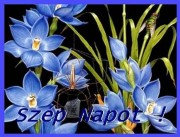 Szép napot!