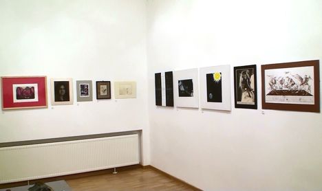 SZ-sz- (101)