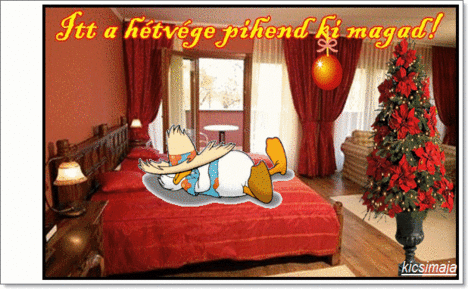 www_tvn_hu_29182fe5a10d71cf0ed864682430f4fc