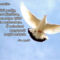 138371_572276733_small