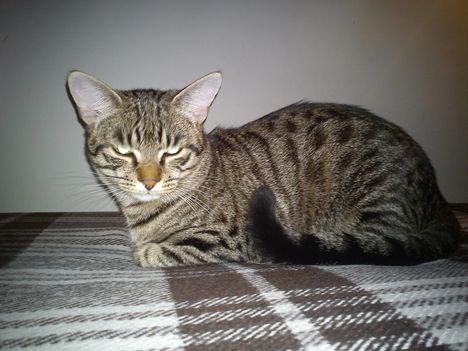2011.01.13