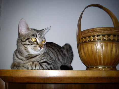 2011.01.15