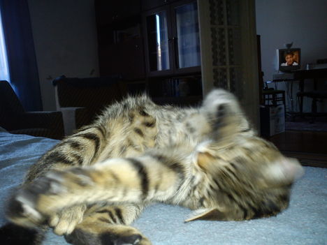 2011.01.24