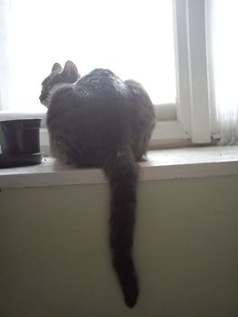 2011.02.27