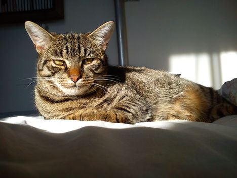 2011.05.18