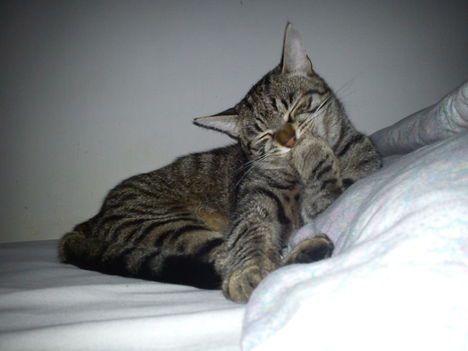 2011.10.06