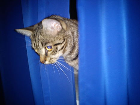 2011.10.09