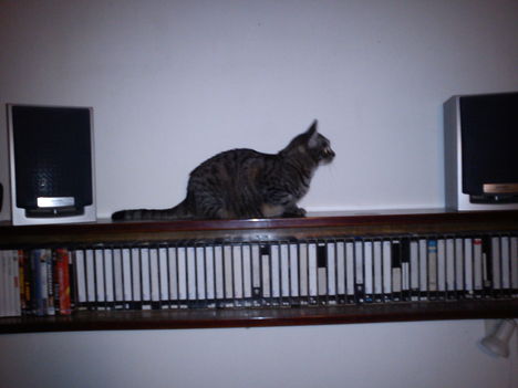 2011.12.05