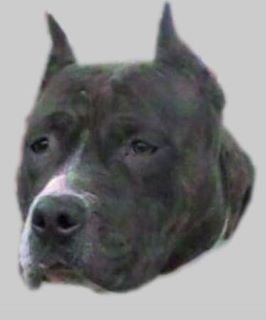 374659_249229881808019_100001630283516_645754_923330916_n