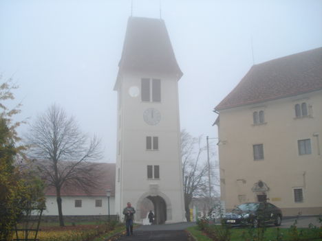 DSC07130