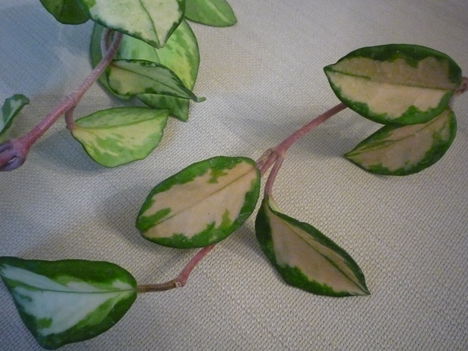 2011. DECEMBER, 15