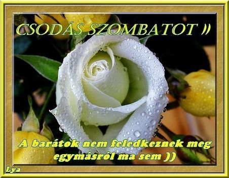 Szép szombat estét....