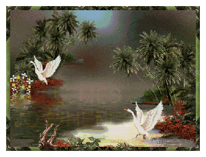 www_tvn_hu_75481b97e76850e22f1af0b0