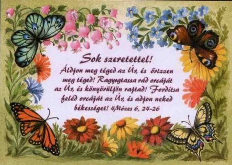 aroni_aldas_2