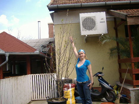 Golyha Erika 10