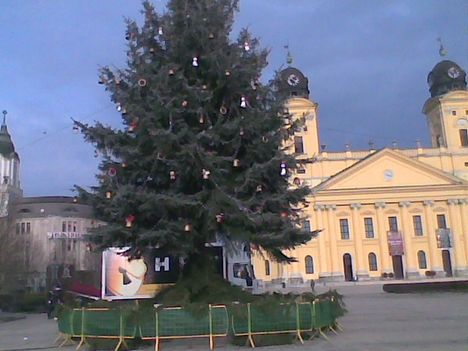 Kép008jpg Debrecen karácsonyfája