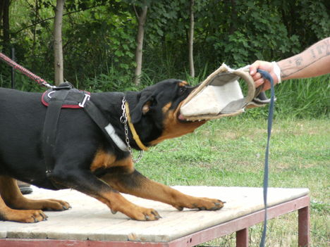 20110703 020