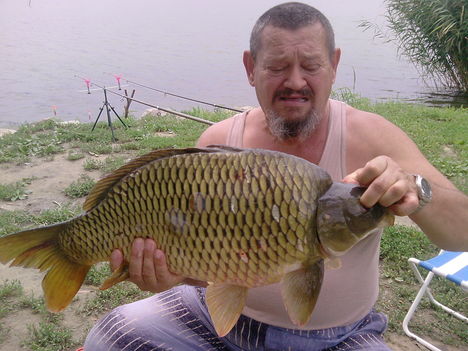 Balaton  2