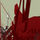Banner_copy-001_118415_48812_t